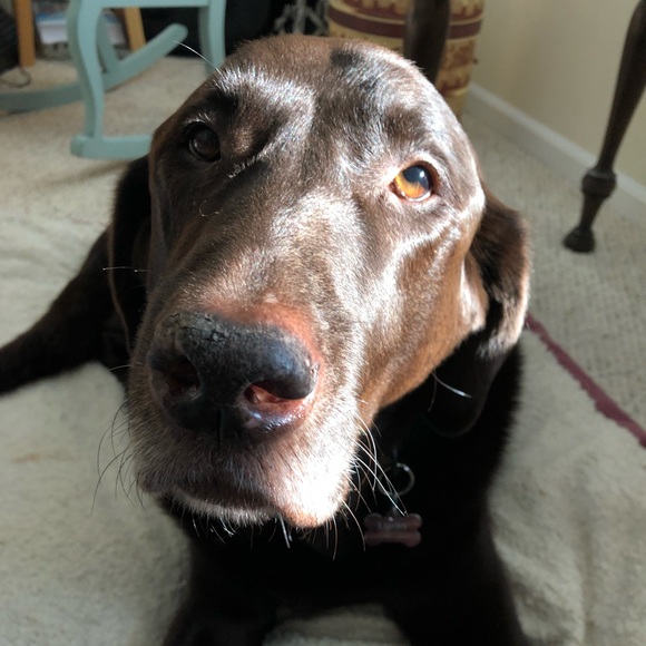 Meet your Posher, Megan - Picture 2 of 6